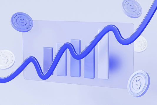 Income Fluctuation Budget Strategy Course